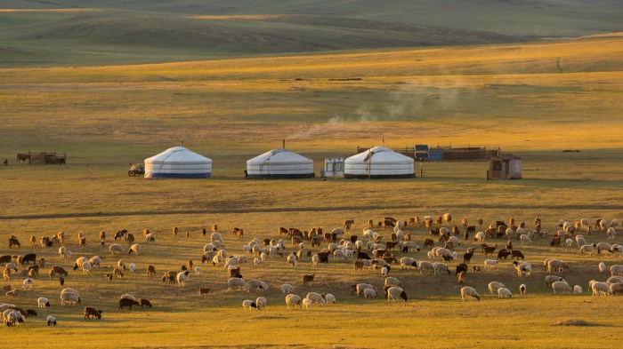 Shelter on the asian steppes