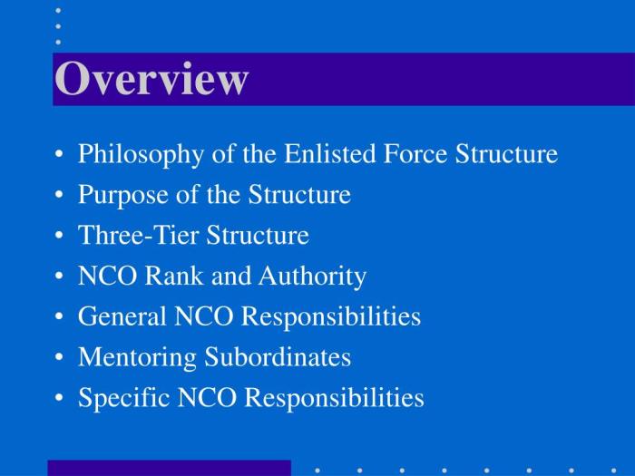 Enlisted force structure 36 2618