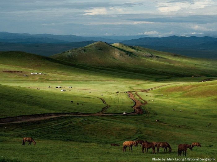 Steppes turkic caucasus wilds choice