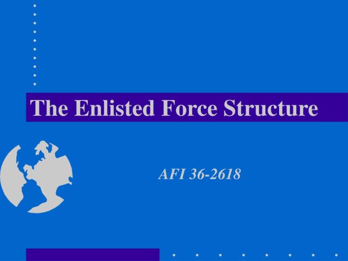 Enlisted force structure 36 2618