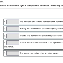 Match definitions terms following definition appropriate solved term column left problem been has