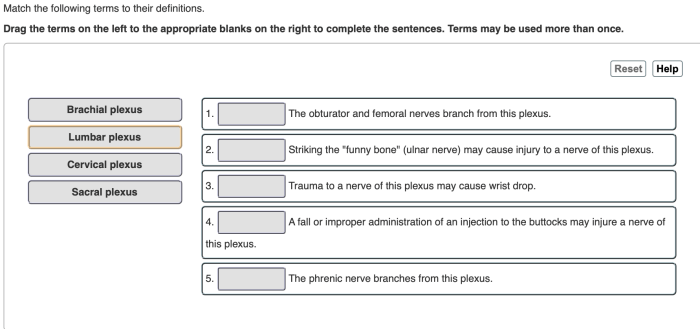 Match definitions terms following definition appropriate solved term column left problem been has