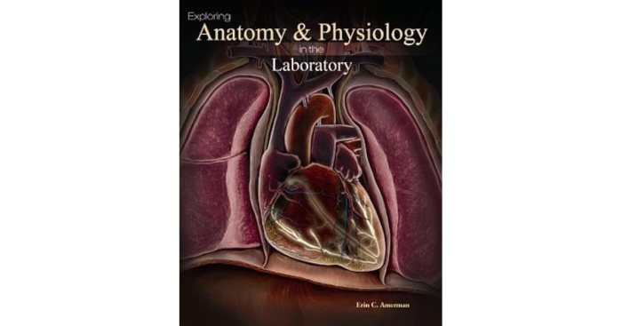 Exploring anatomy and physiology in the laboratory 4th edition