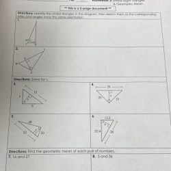 Unit 6 similar triangles homework 5 answer key