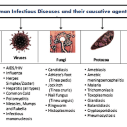 Infection chain infectious control texas disease links spread breaking required hhs gov step module each