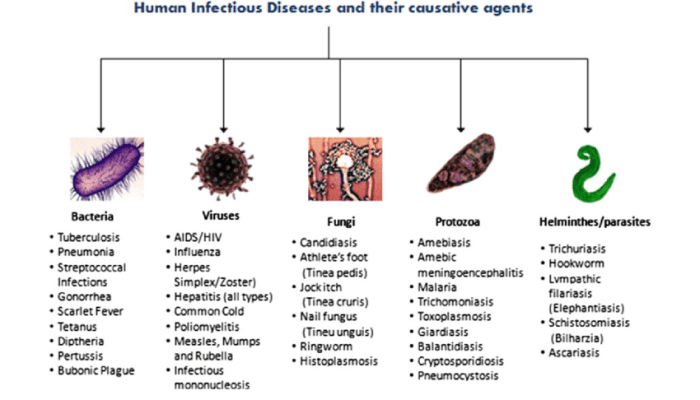 Match each pathogen with its mode of transmission