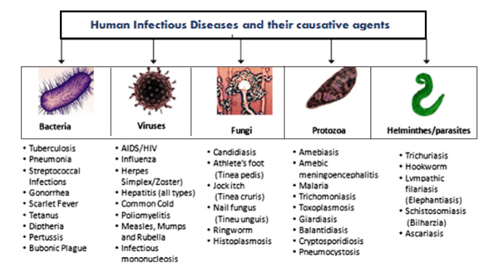 Infection chain infectious control texas disease links spread breaking required hhs gov step module each