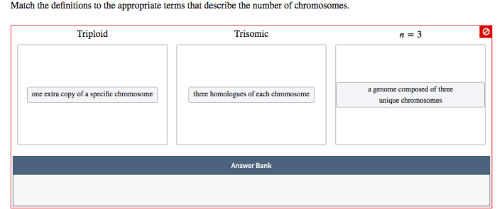 Match the definitions to the appropriate terms.